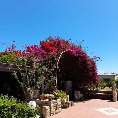 Sa Cruxi Appartement Girasole