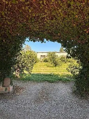 Apartmán Sa Cruxi *