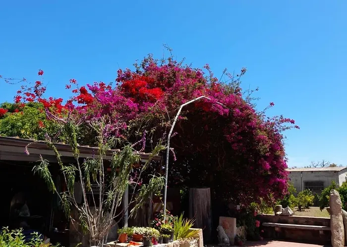 Sa Cruxi Appartement Girasole