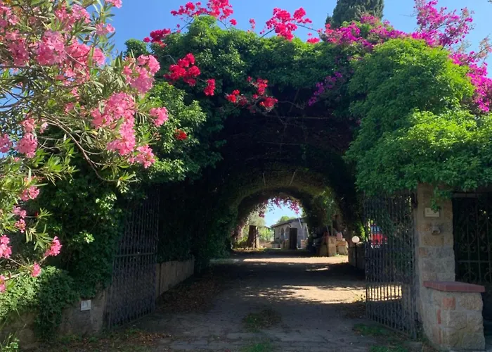 Appartement Sa Cruxi *